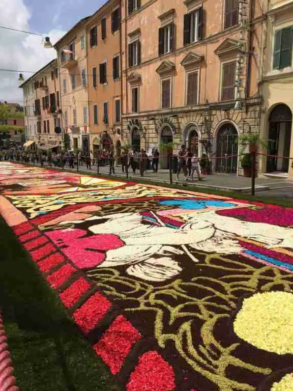A portion of the blanket of flowers from the Infiorata in Genzano