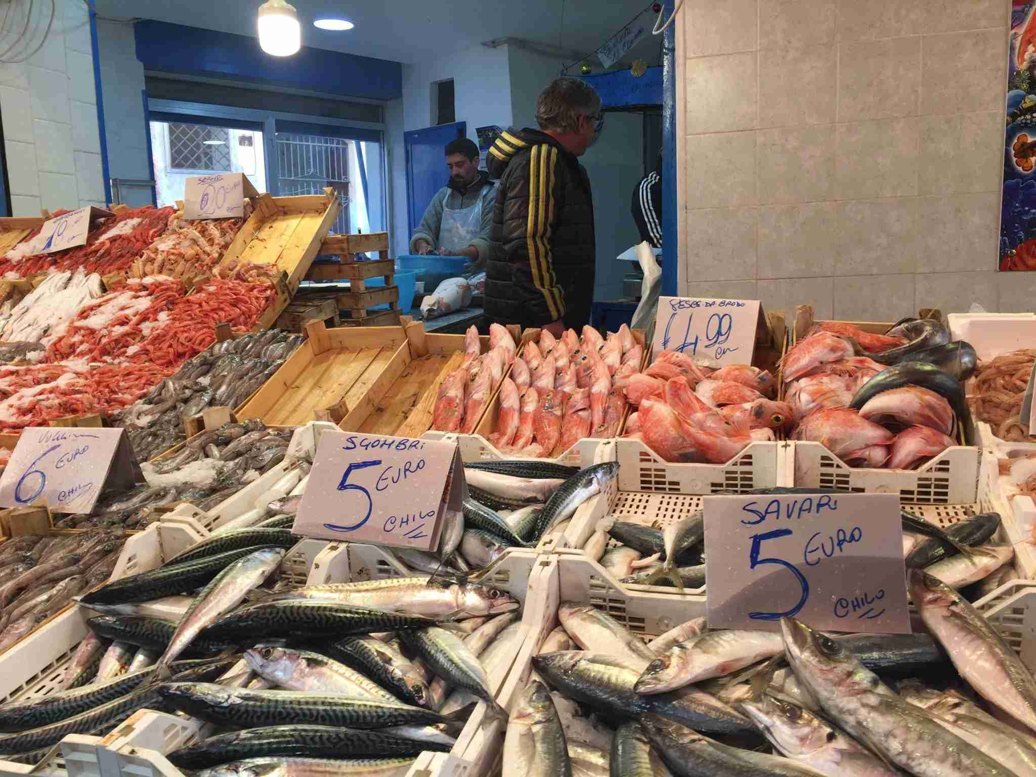 Fish for sale at Ballarò market