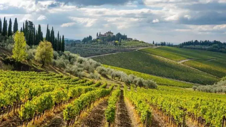 Chianti: Tuscany’s Subregion Known For Its Famous Red Wine