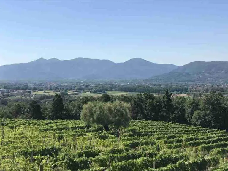 Wine Routes in Tuscany