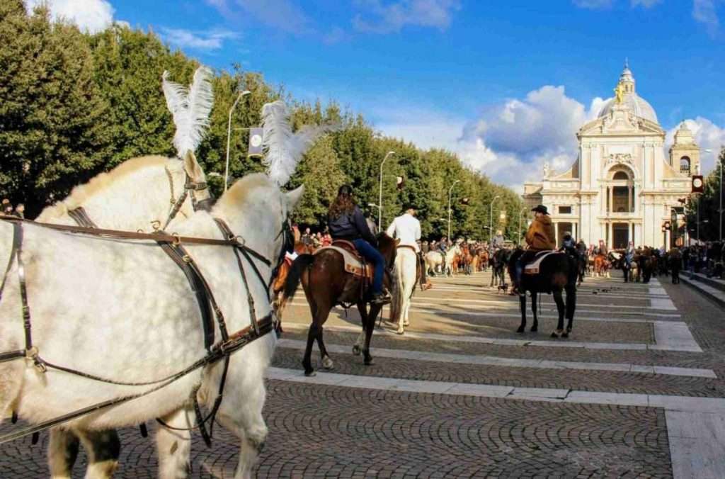 Blessing the Animals in Assisi on the Feast Day of Sant’Antonio Abate