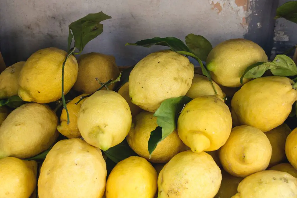 yellow citrus fruits