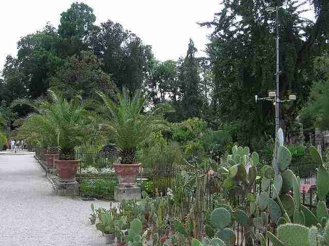 Rooted in Italy: The World’s First Botanical Gardens