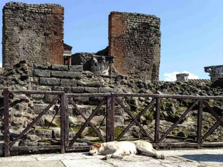 Sleeping Dog, Pompeii